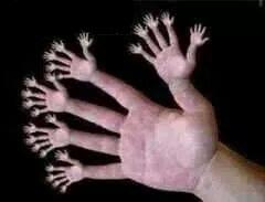 hands & fingers